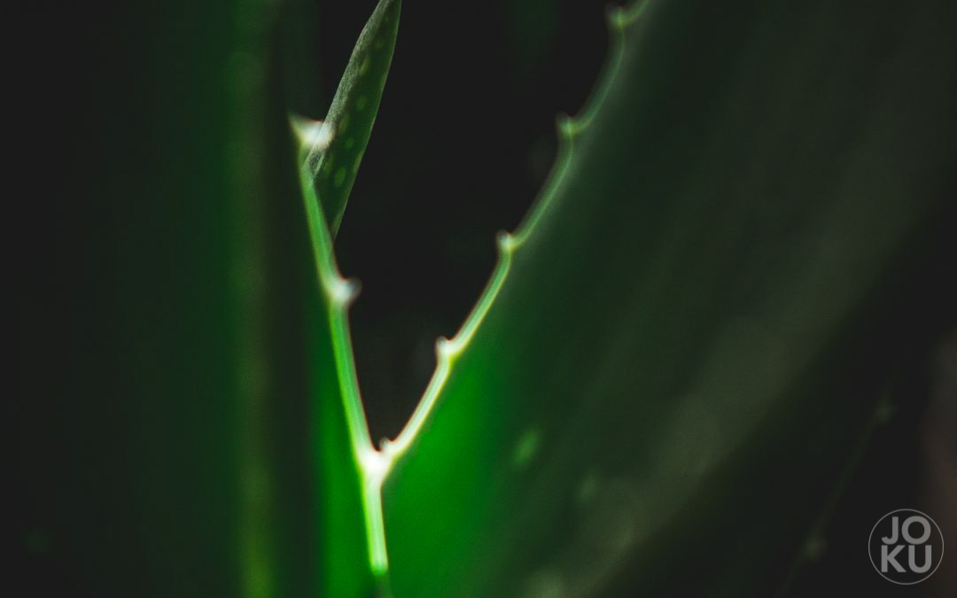 #52WC – 13 – Grün