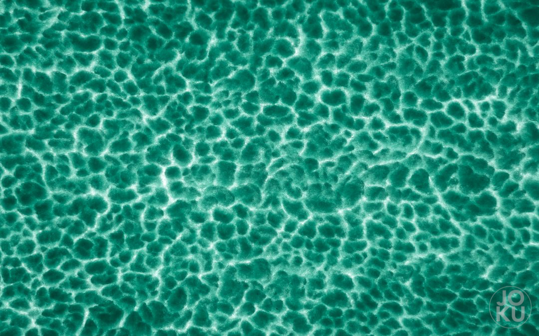 #52WC – 14 – Textur