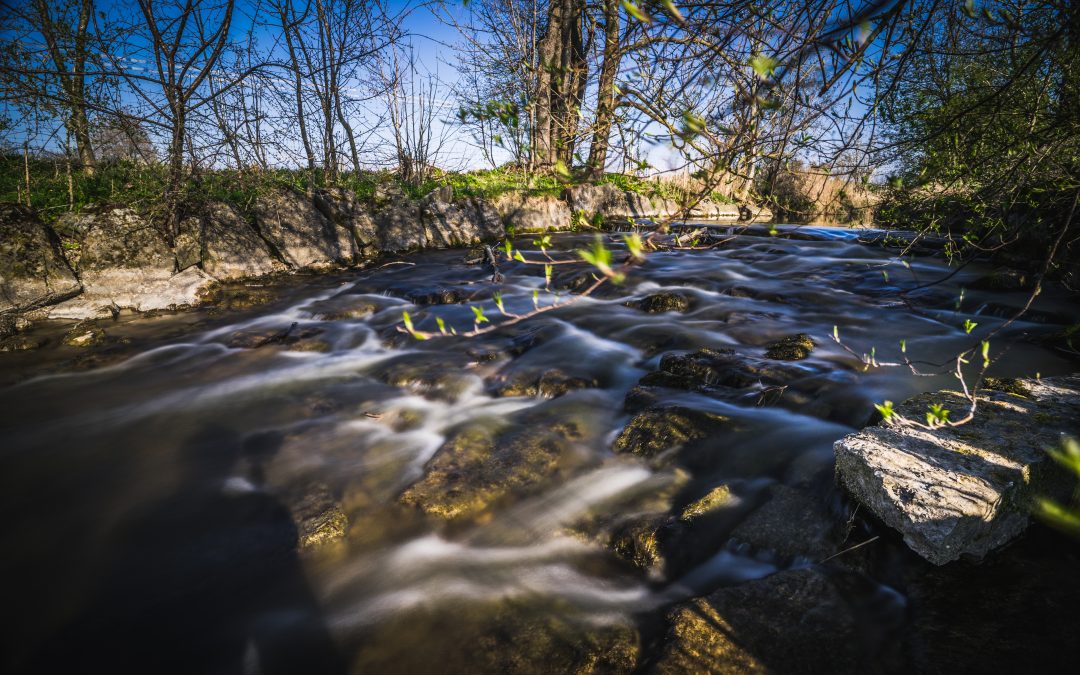 #52WC – 15 – Bewegung