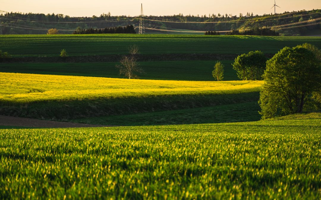 #52WC – 16 – Landschaft