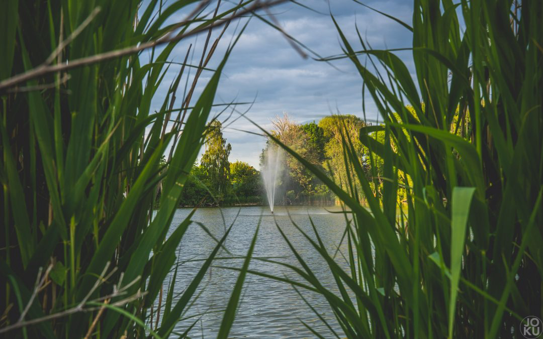 #52WC – 21 – Goldener Schnitt