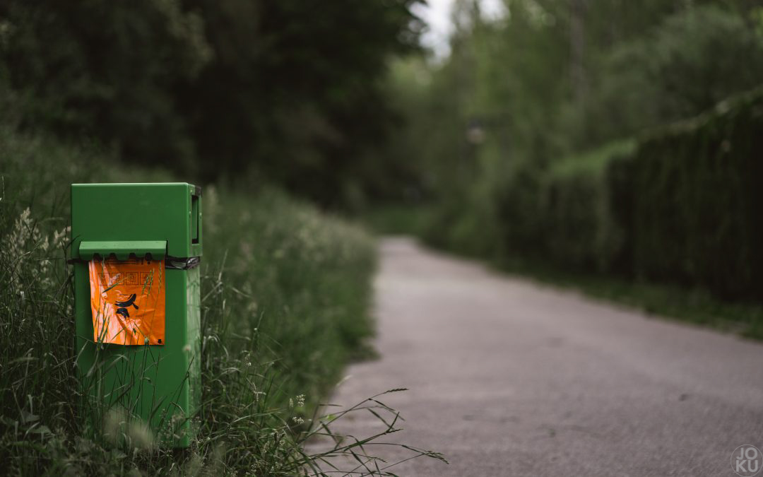 #52WC – 22 – Orange