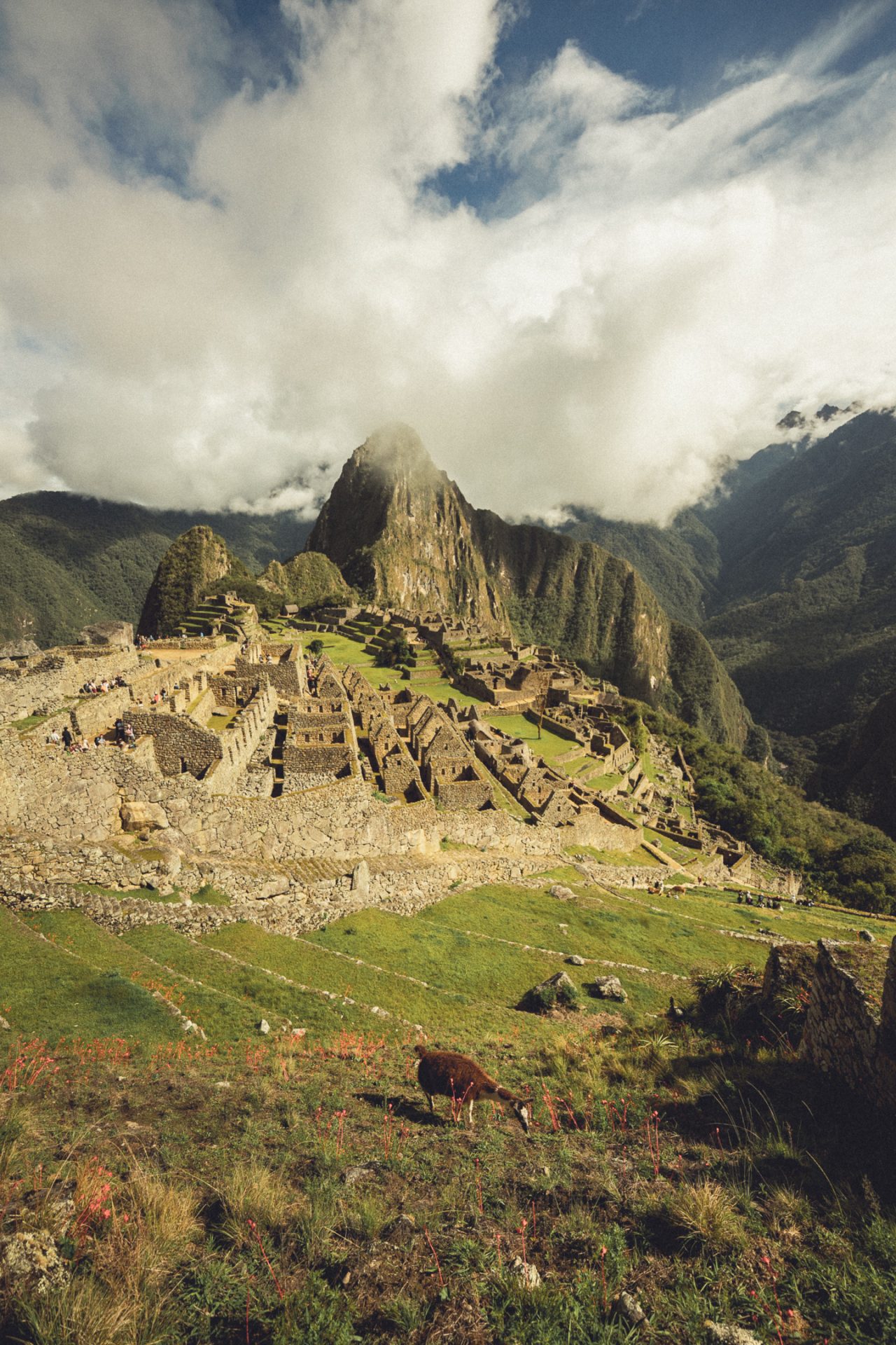 Waldbrände – Machu Picchu